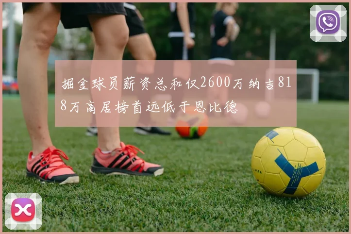 掘金球员薪资总和仅2600万纳吉818万高居榜首远低于恩比德